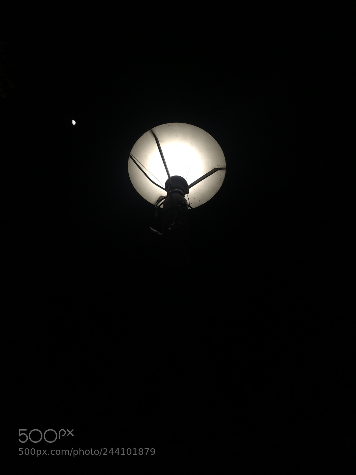 Apple iPhone SE sample photo. Untitled photography