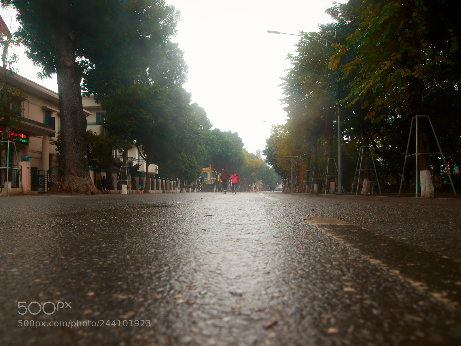 Olympus PEN E-P1 sample photo. Along a boulevard of photography