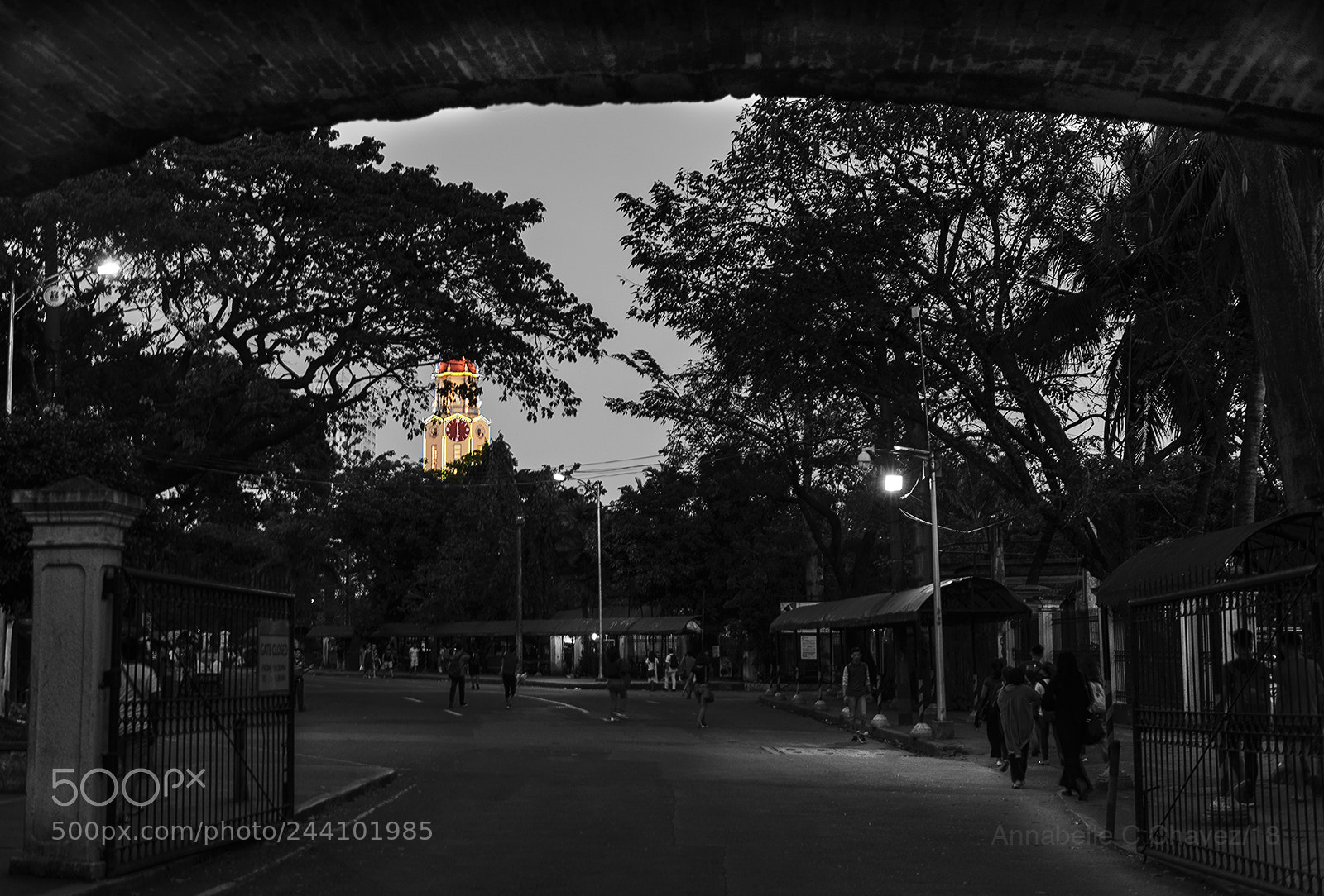 Nikon D610 sample photo. Manila city hall by photography