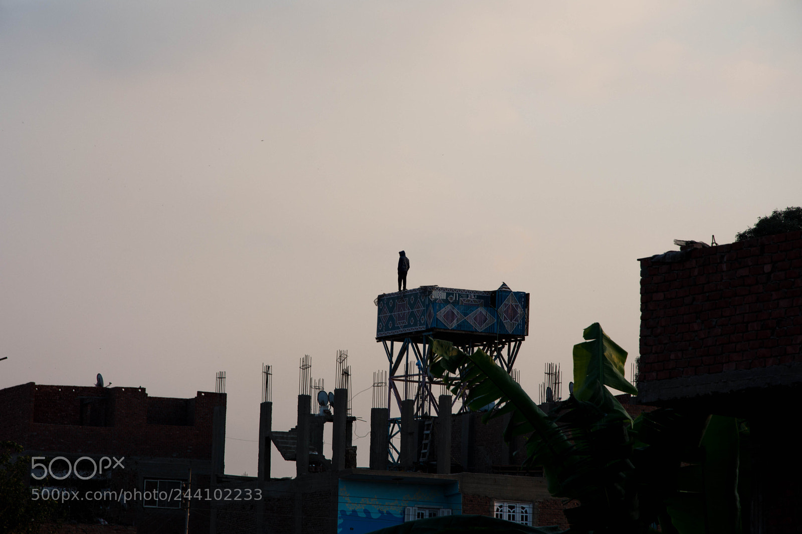 Nikon D7200 sample photo. Cairo photography