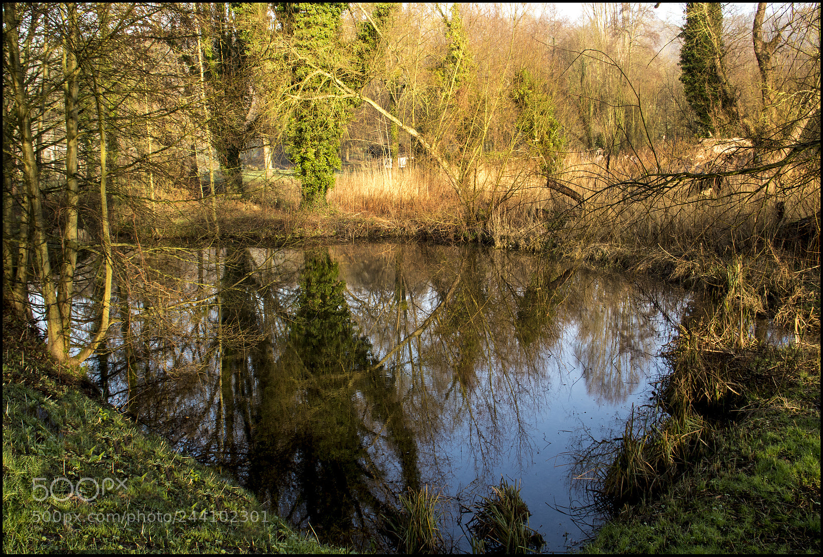 Canon EOS 7D Mark II sample photo. Du bleu ! photography