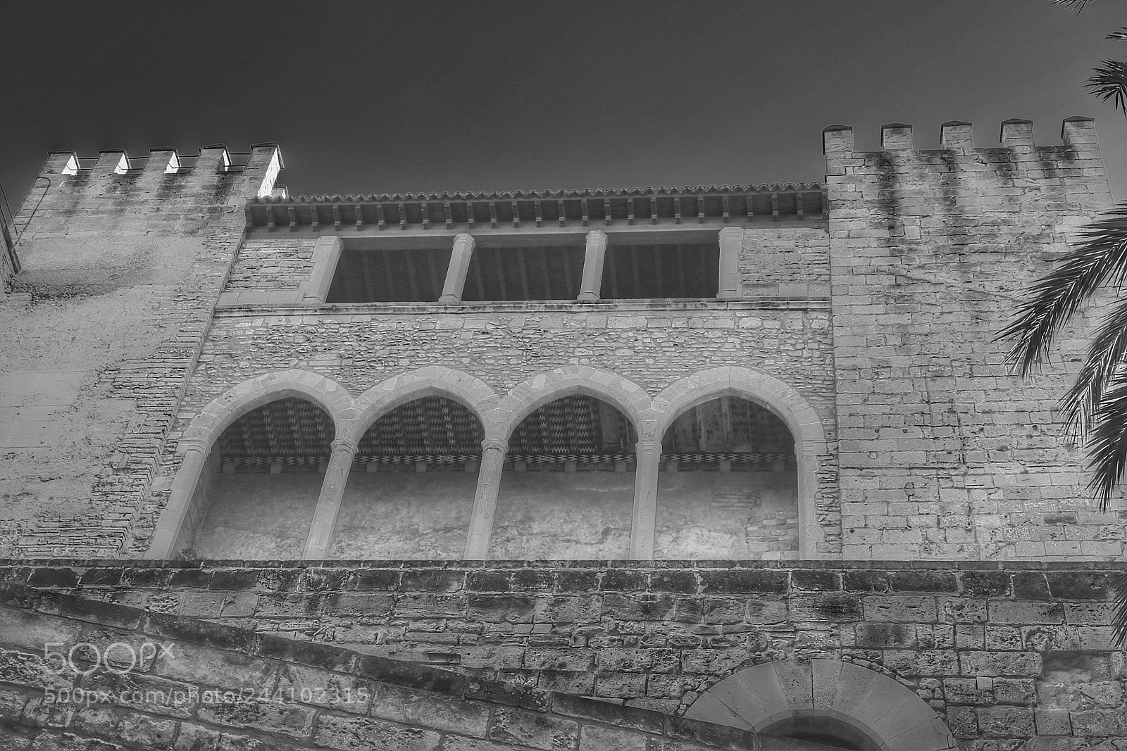 Canon EOS 7D Mark II sample photo. Royal palace of almudaina photography