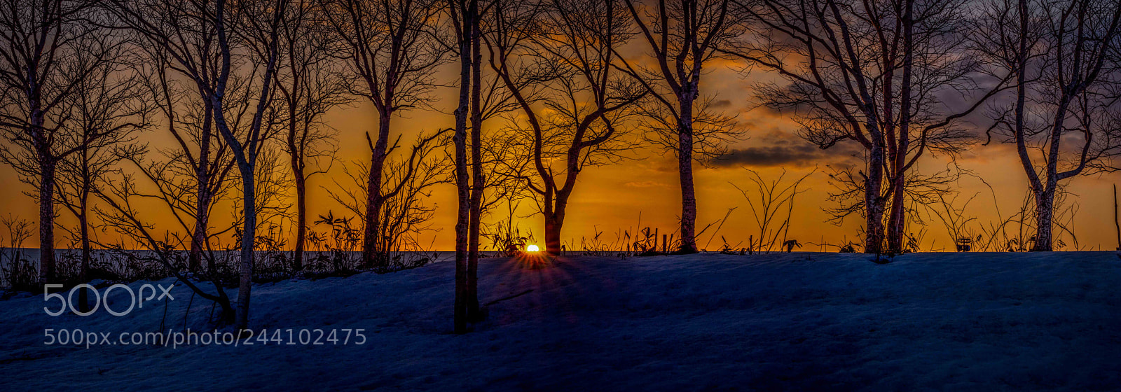 Olympus OM-D E-M5 II sample photo. In  biei hokkaido photography