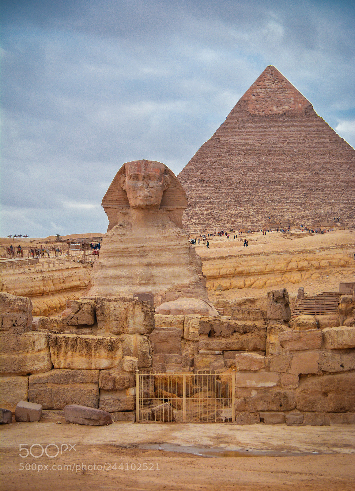 Nikon D7100 sample photo. Sphinx photography