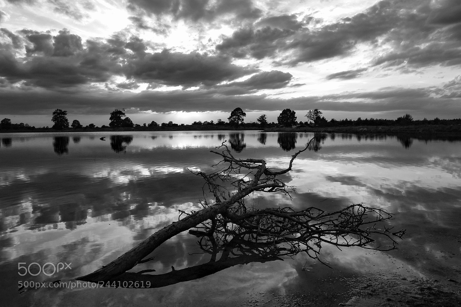 Fujifilm X-Pro1 sample photo. Beautiful sunset drenthe photography