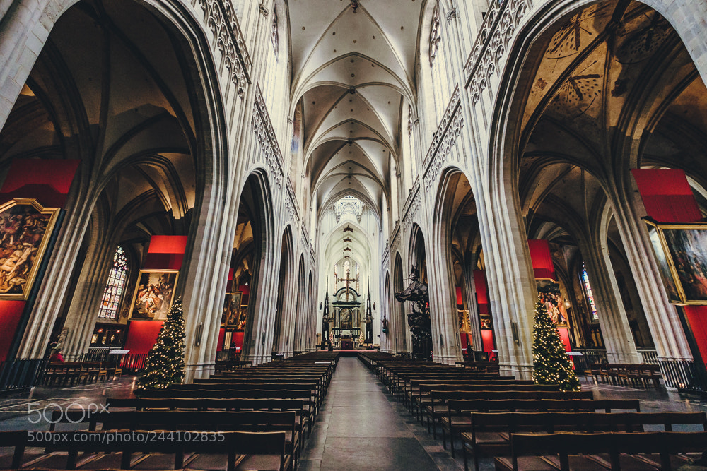 Fujifilm X-T10 sample photo. Antwerpen | cathedral (inside) photography