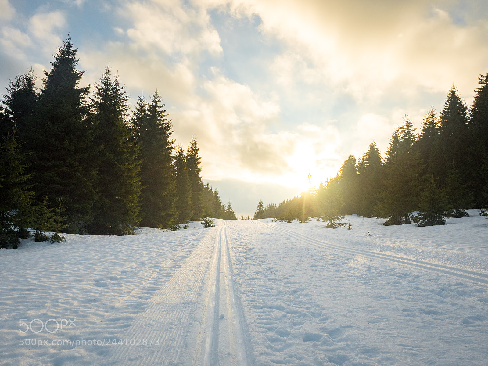 Olympus OM-D E-M5 II sample photo. Harz brocken 2018 photography