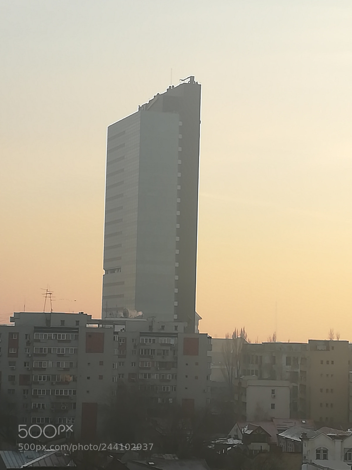 HUAWEI PRA-LX1 sample photo. Dig photography