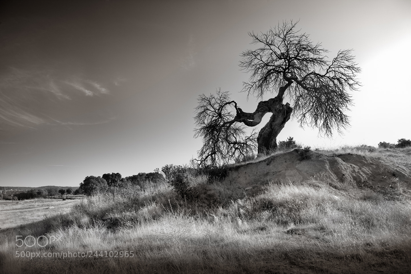 Canon EOS 5D sample photo. Piedrahita road photography