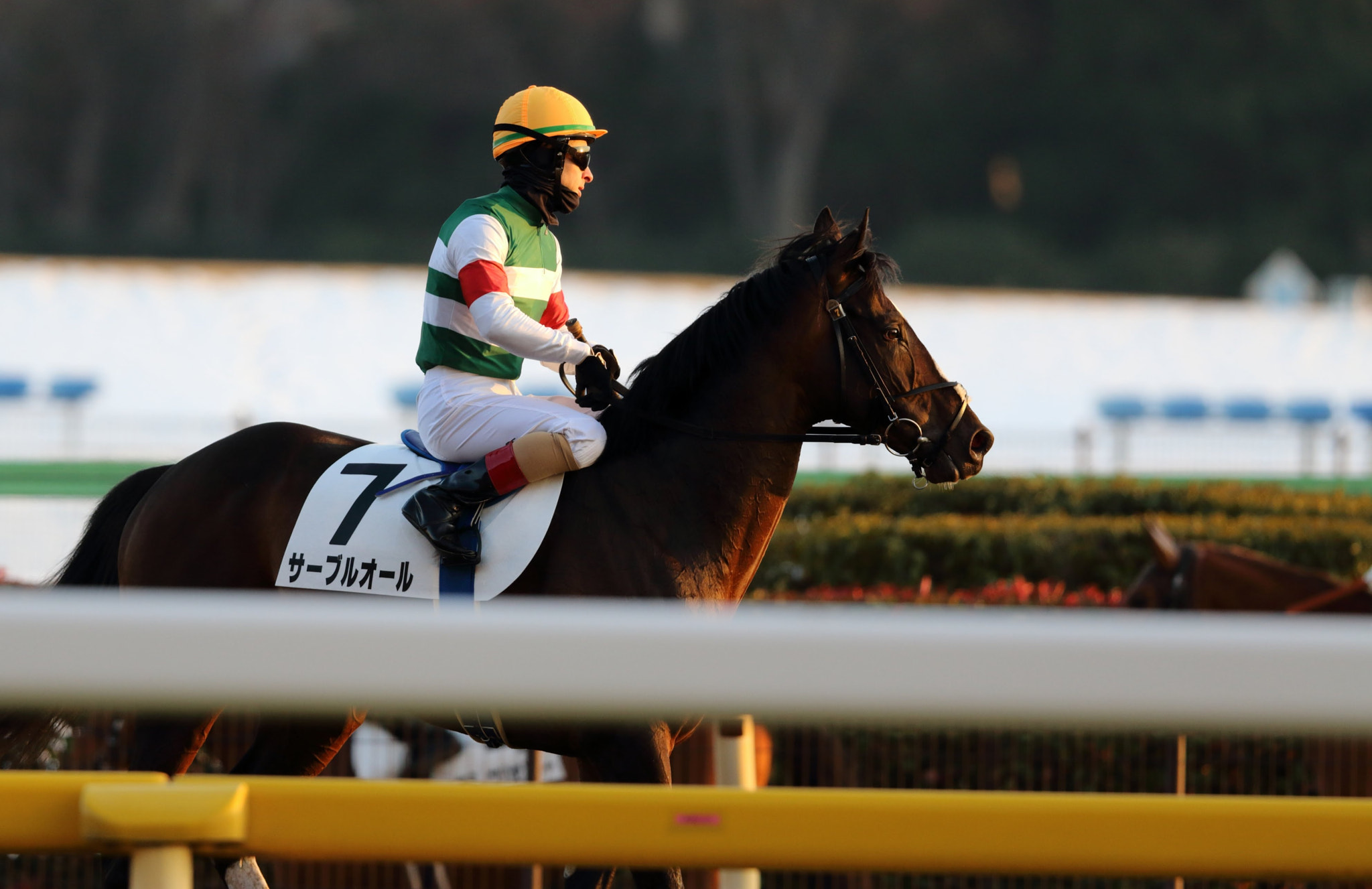 Canon EF 300mm F2.8L IS II USM sample photo. After the winning race photography
