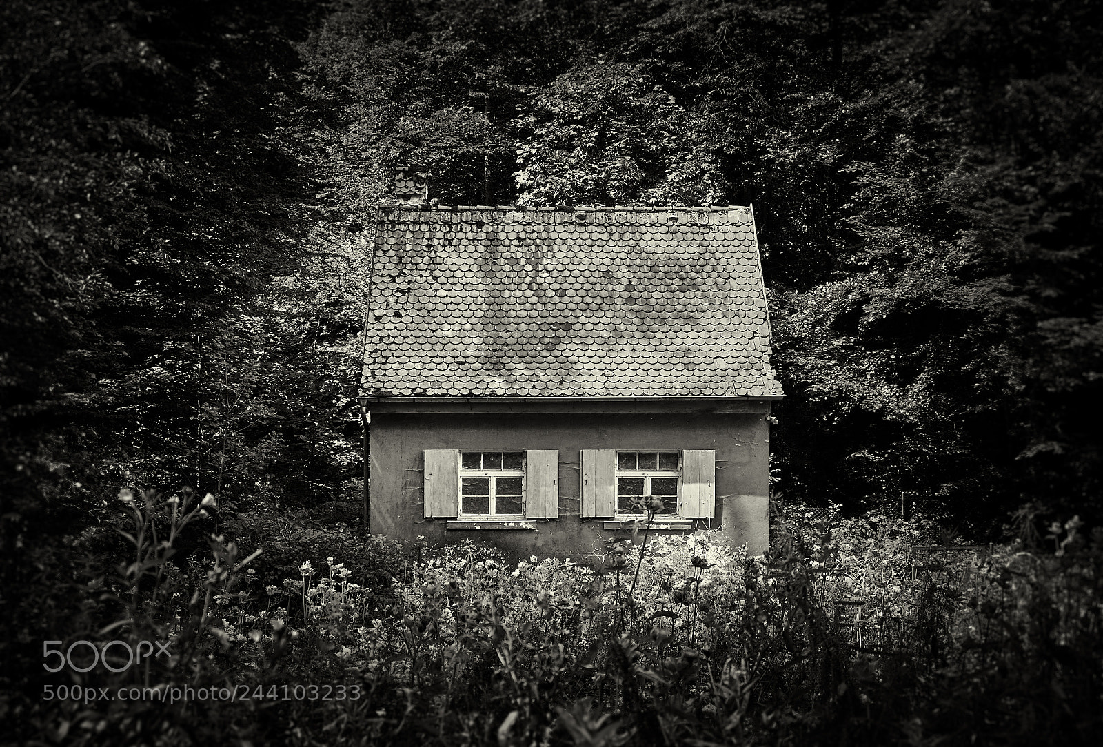 Fujifilm X-T10 sample photo. Small abandoned house in photography