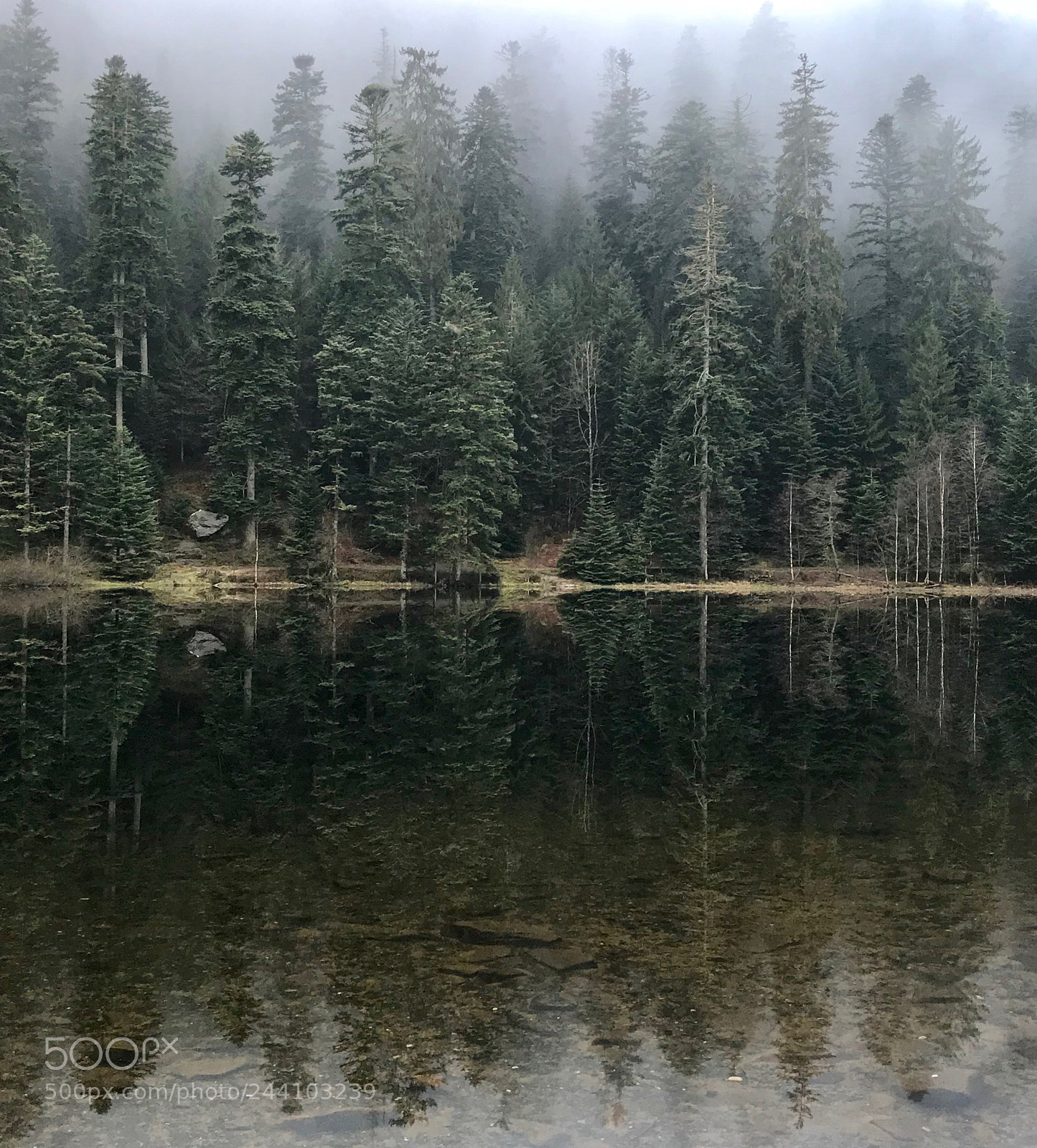 Apple iPhone 7 Plus sample photo. Lake photography