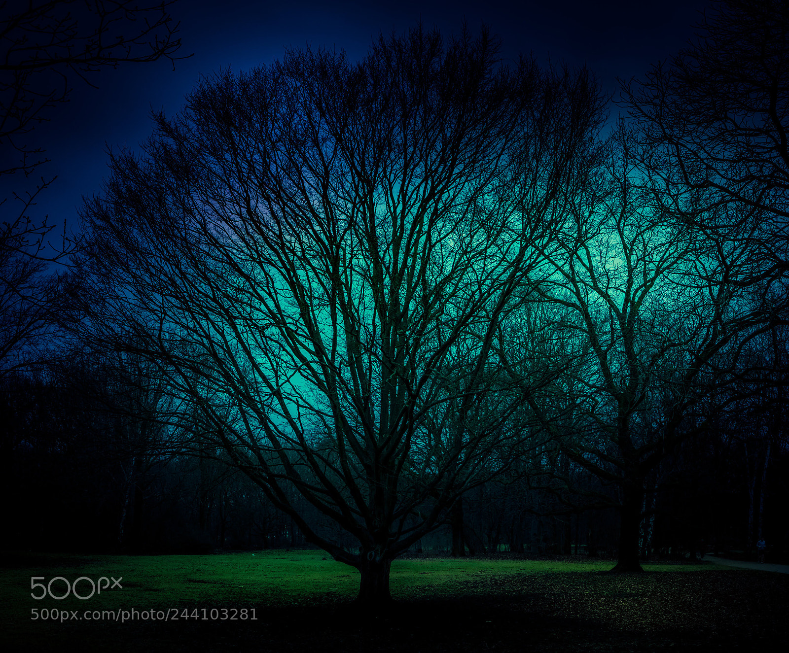 Fujifilm X-T20 sample photo. Tiergarten berlin photography