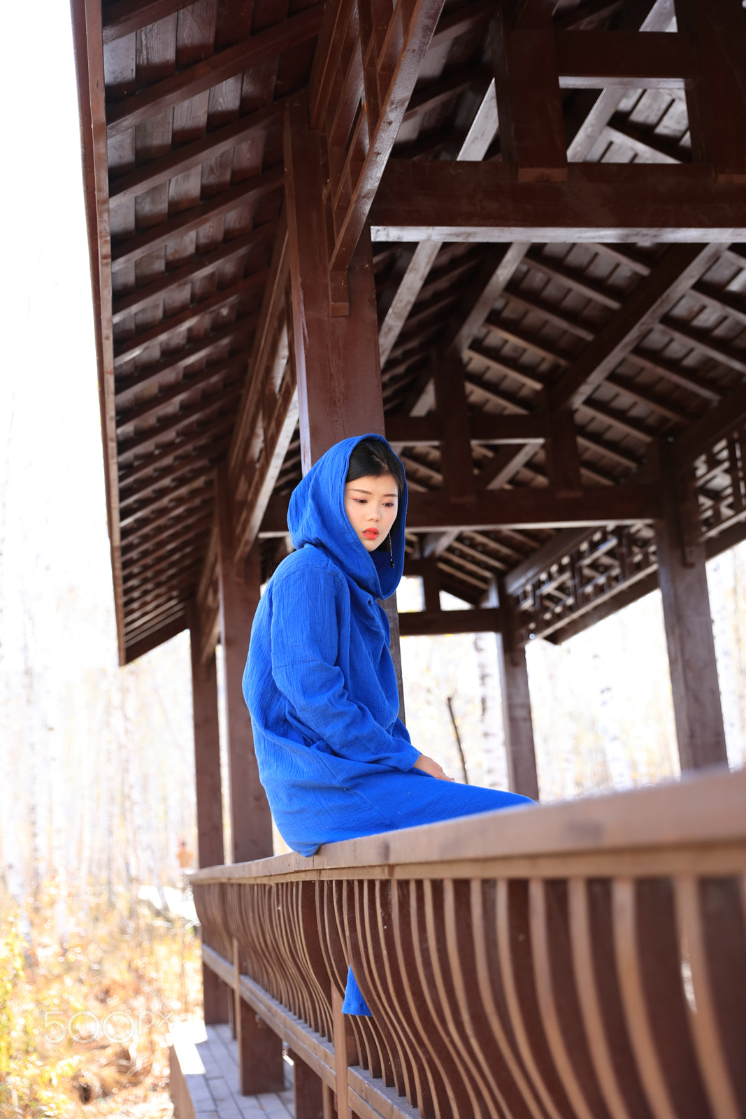 Canon EOS 5DS R sample photo. Ponder on the past photography
