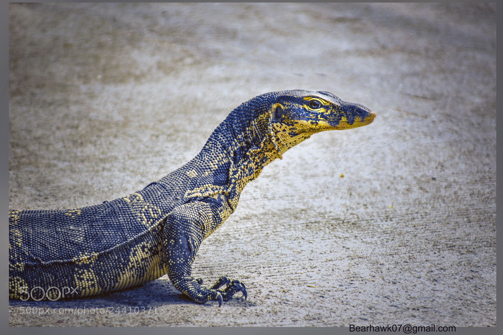 Nikon D7200 sample photo. Big? photography