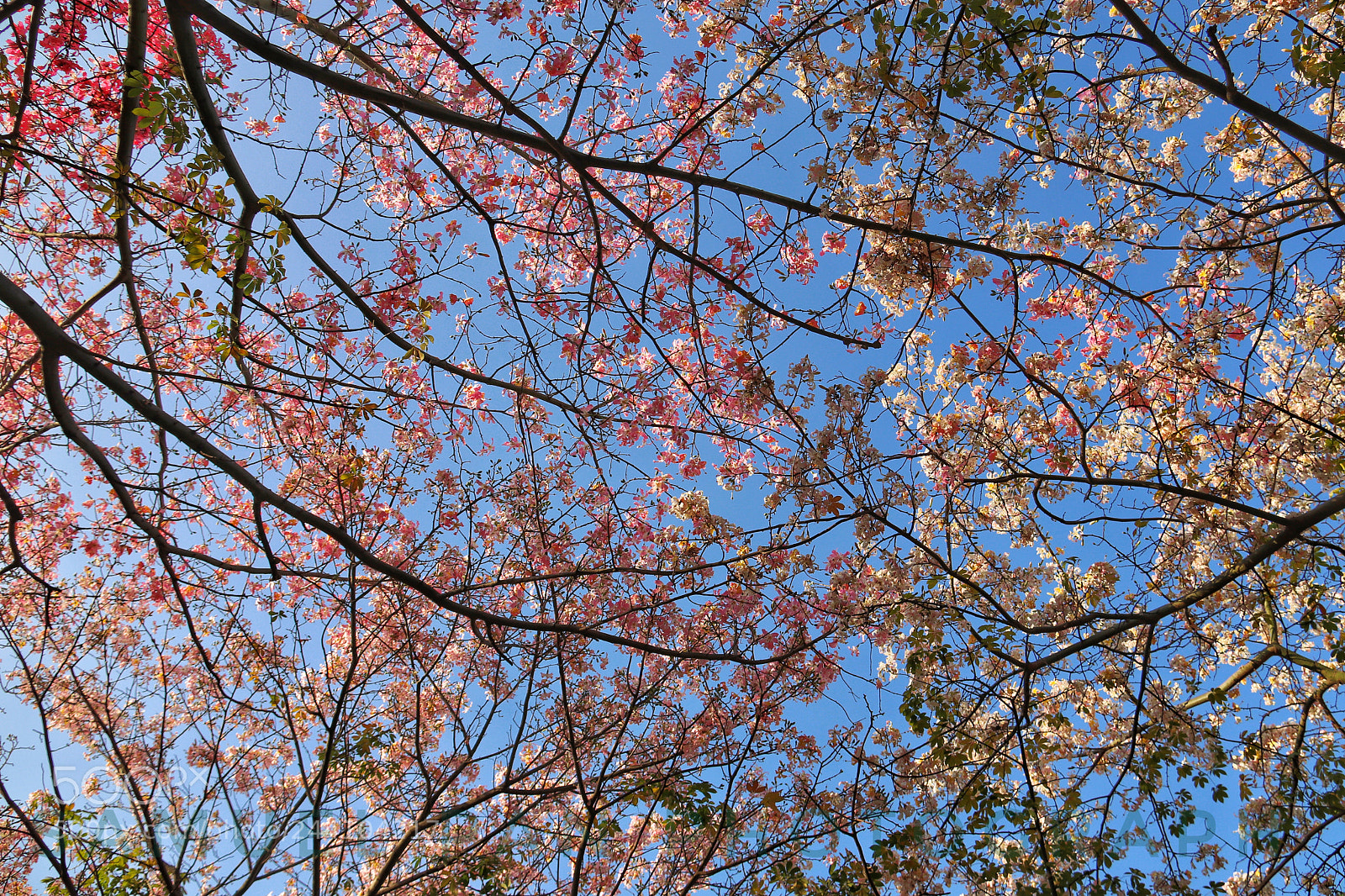 Canon EOS 77D (EOS 9000D / EOS 770D) sample photo. Untitled photography