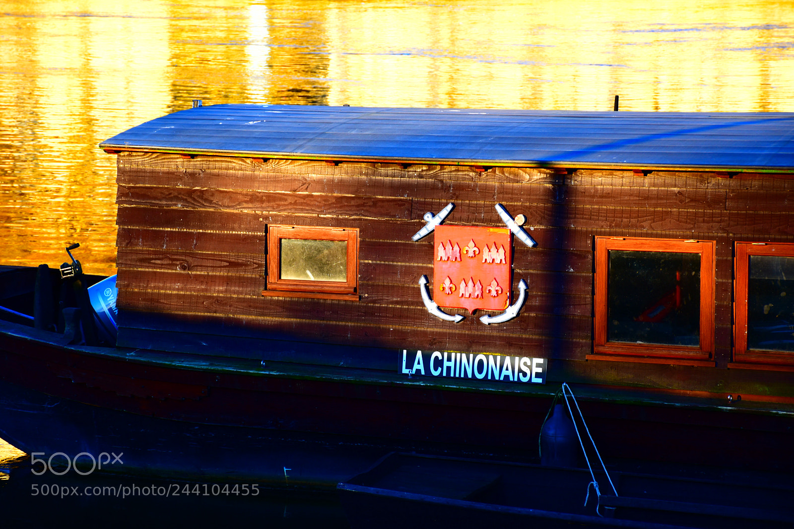Nikon D5600 sample photo. Chinonaise – france photography