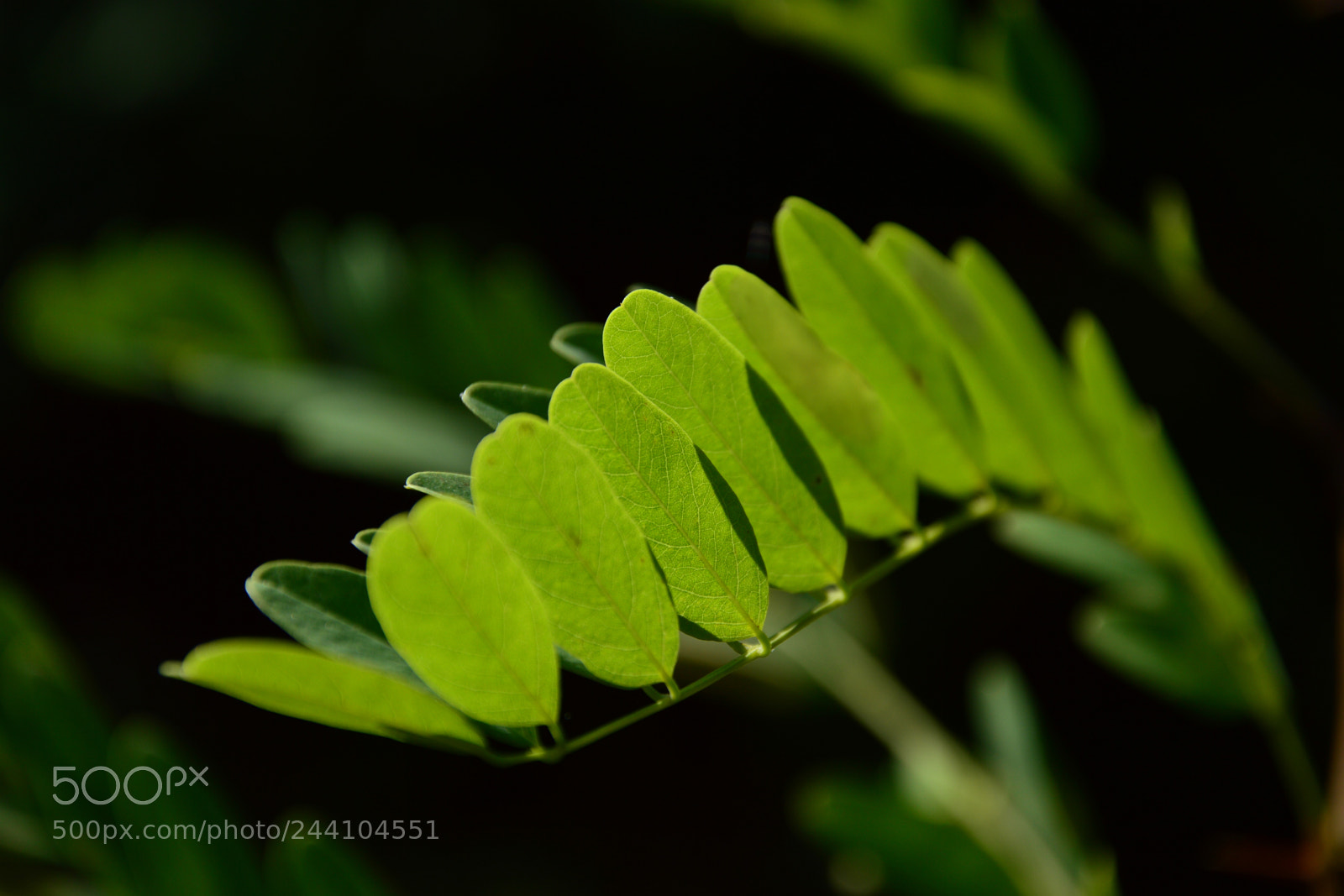 Nikon D3200 sample photo. 0.jpg photography