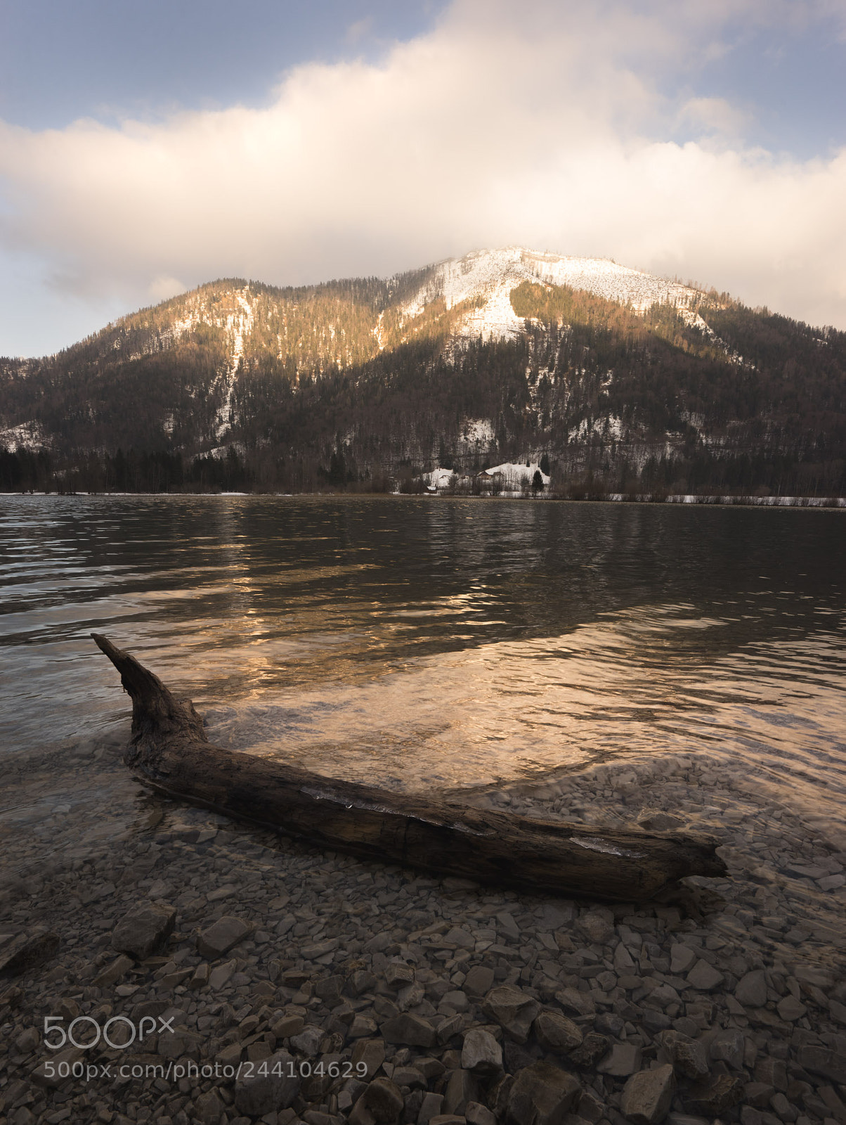Sony a7 sample photo. Untitled photography