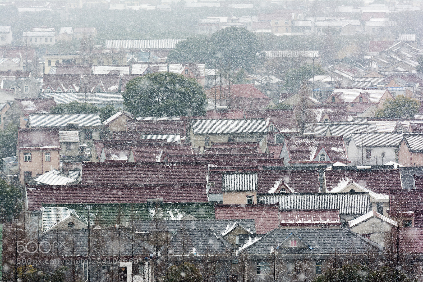 Nikon D7100 sample photo. 南雪 photography