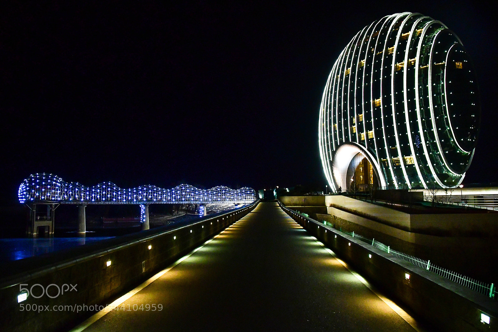 Nikon D500 sample photo. Close encounter in beijing photography
