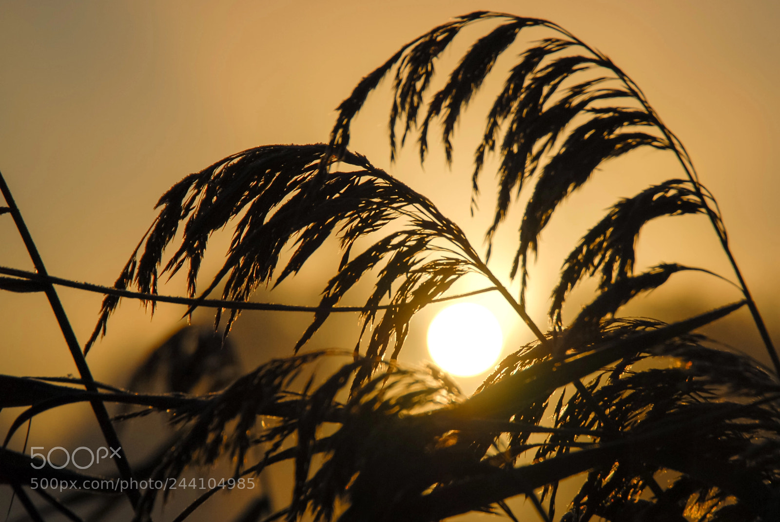 Nikon D200 sample photo. Sunrise photography