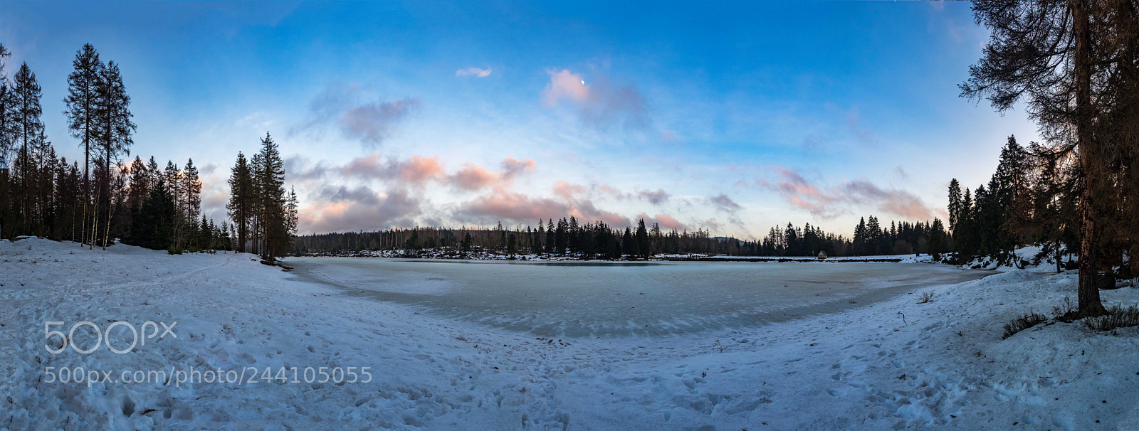 Olympus OM-D E-M1 sample photo. Frozen photography