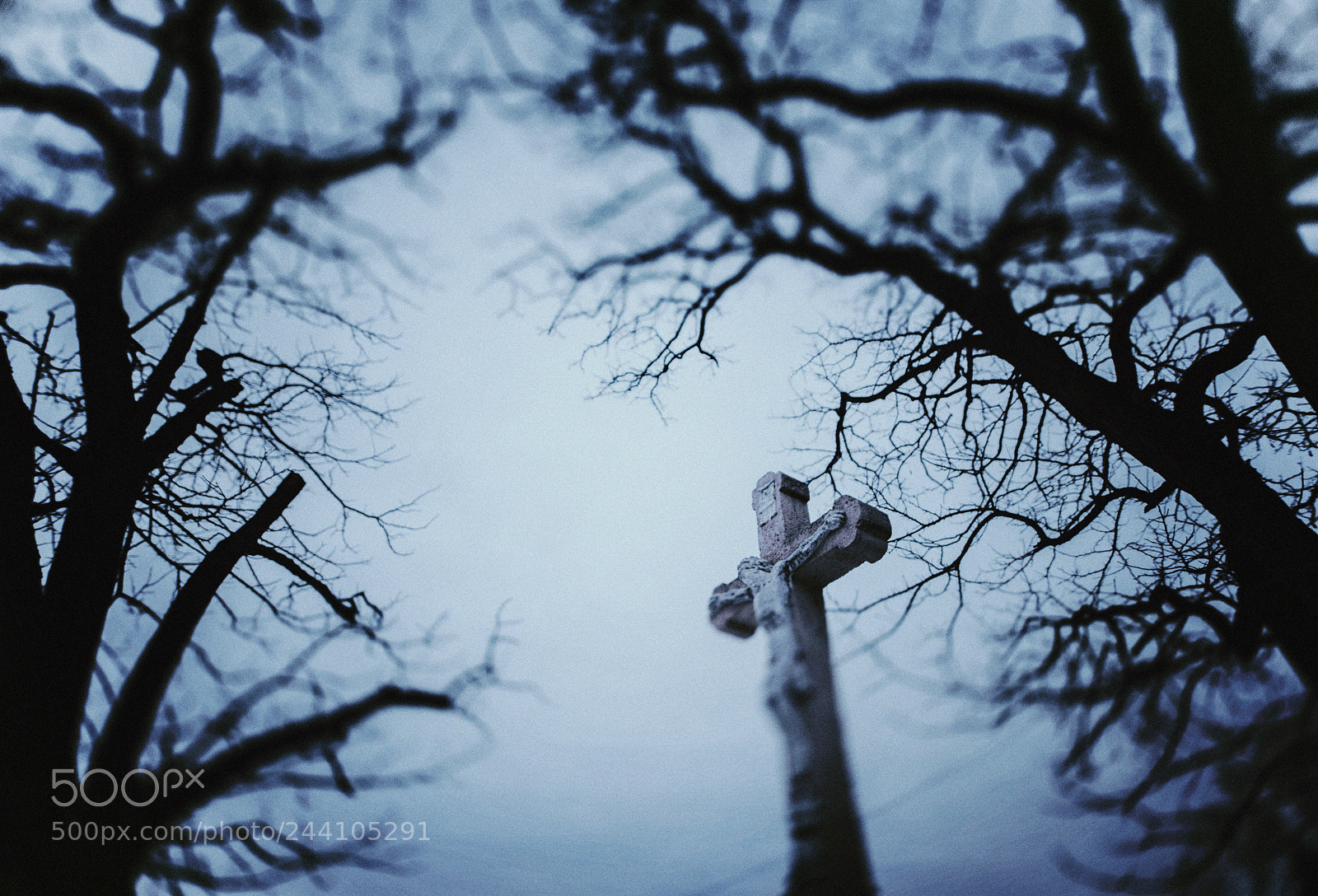 Nikon D810 sample photo. Untitled photography