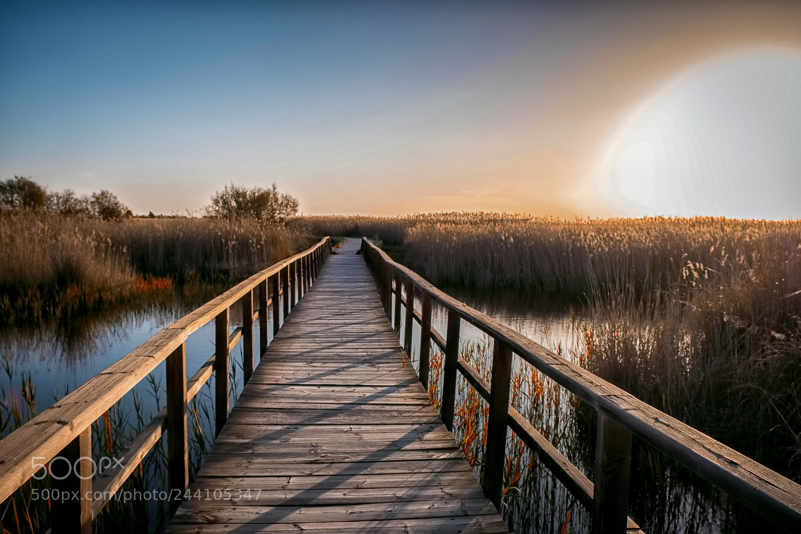 Fujifilm X-T20 sample photo. Tablas de daimiel. spain photography