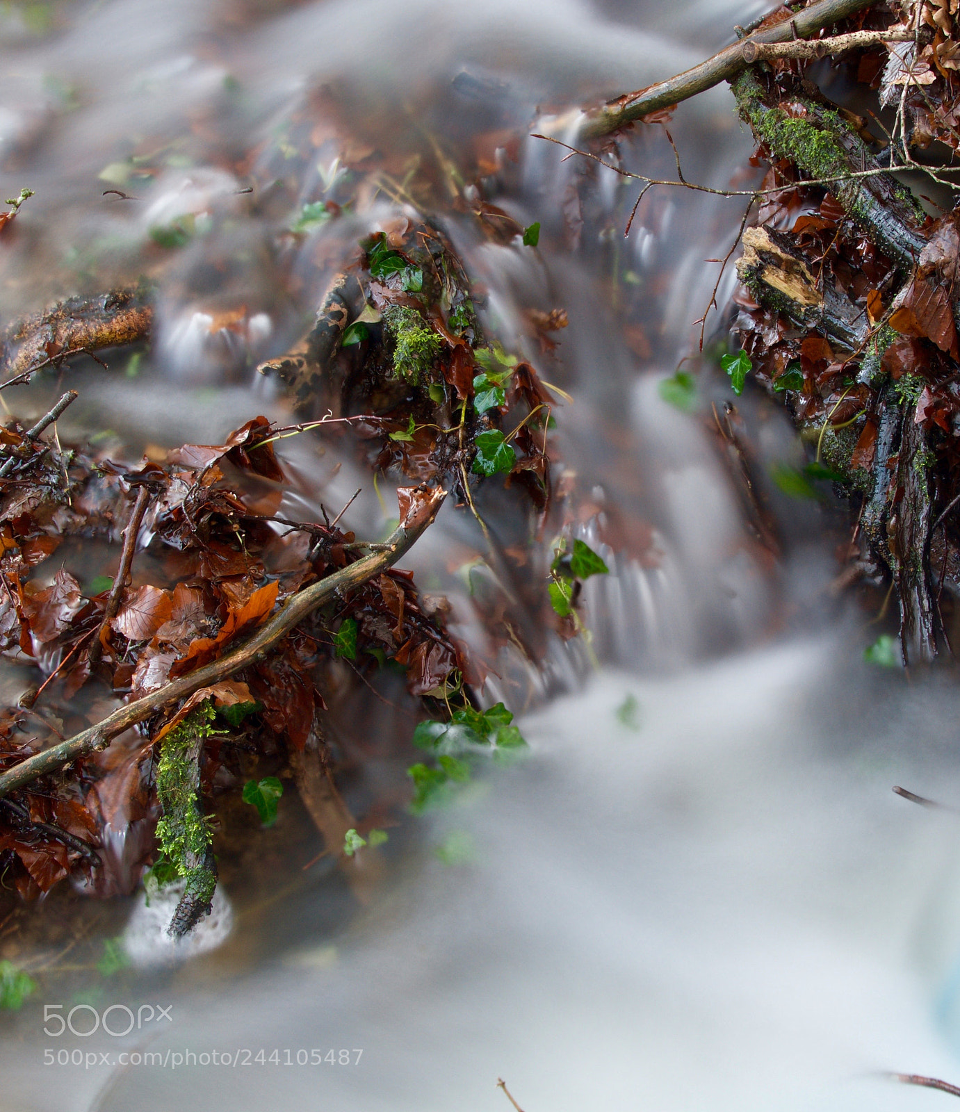 Nikon D500 sample photo. Untitled photography