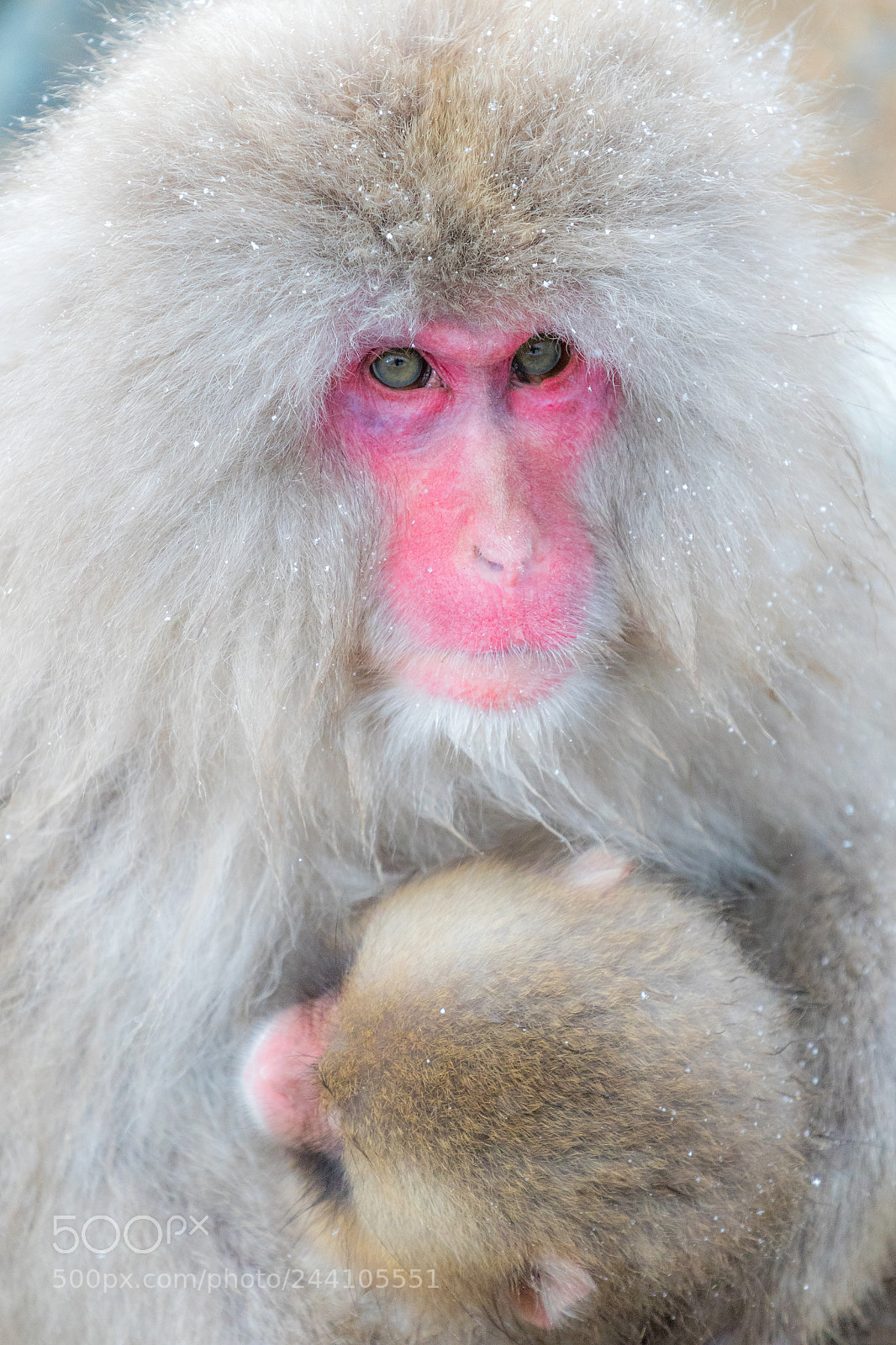 Canon EOS 7D Mark II sample photo. Mother and child photography