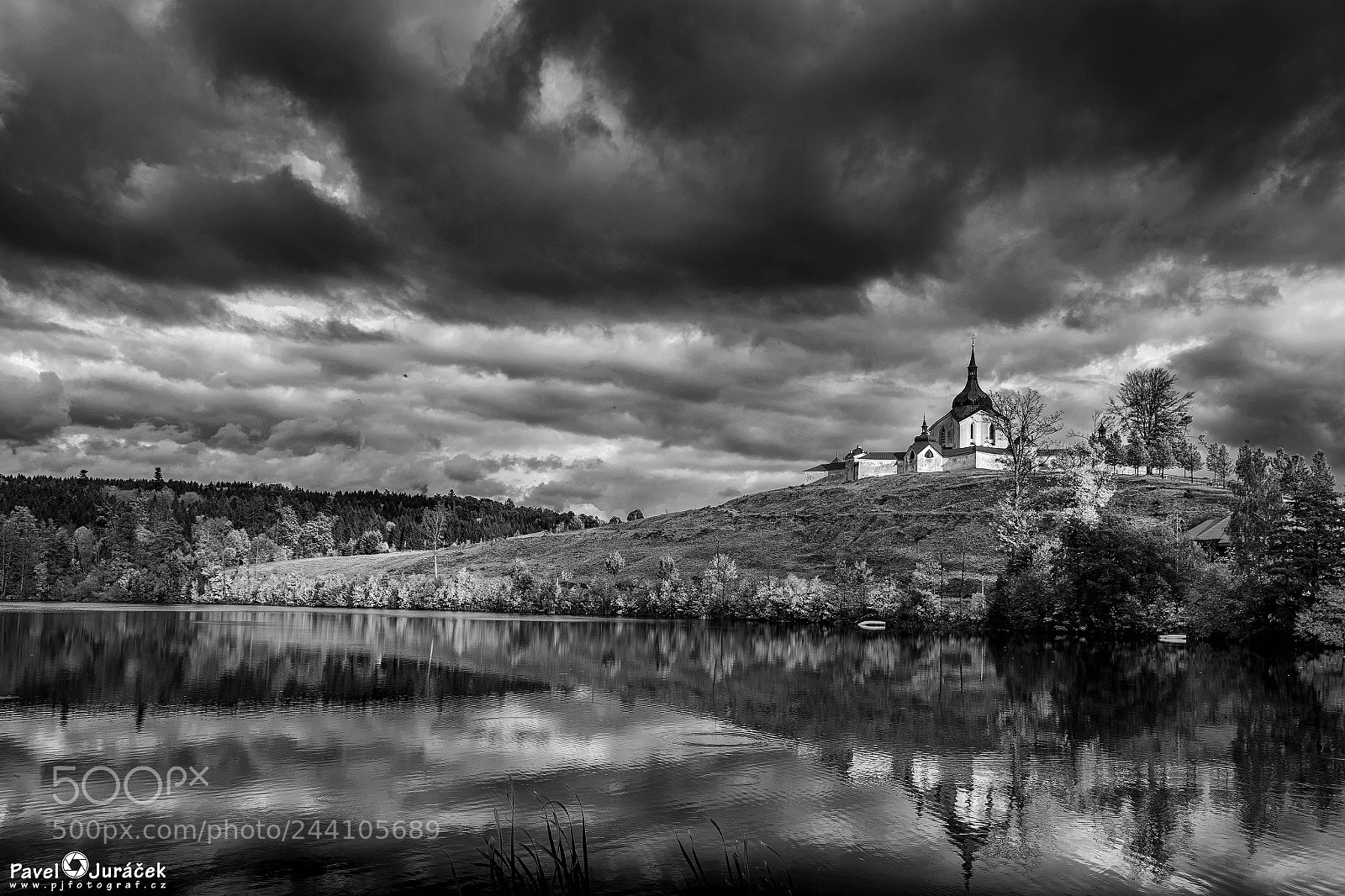 Nikon D5600 sample photo. Vysočinou ... 46.bw photography