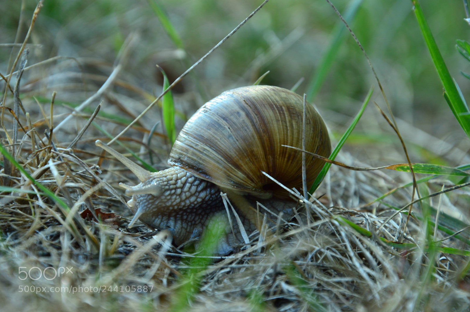 Nikon D3200 sample photo. Csc photography