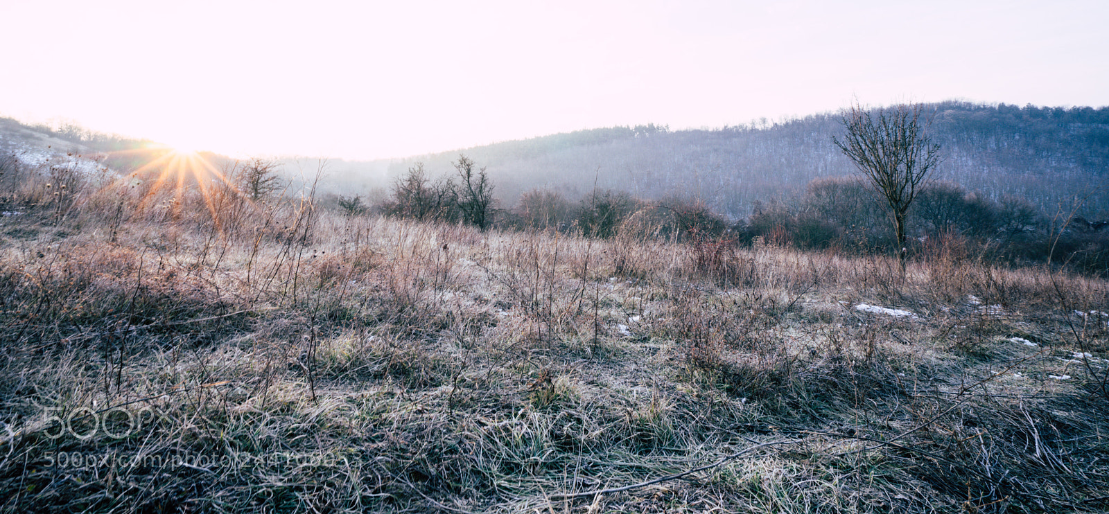 Sony a7 sample photo. A photography