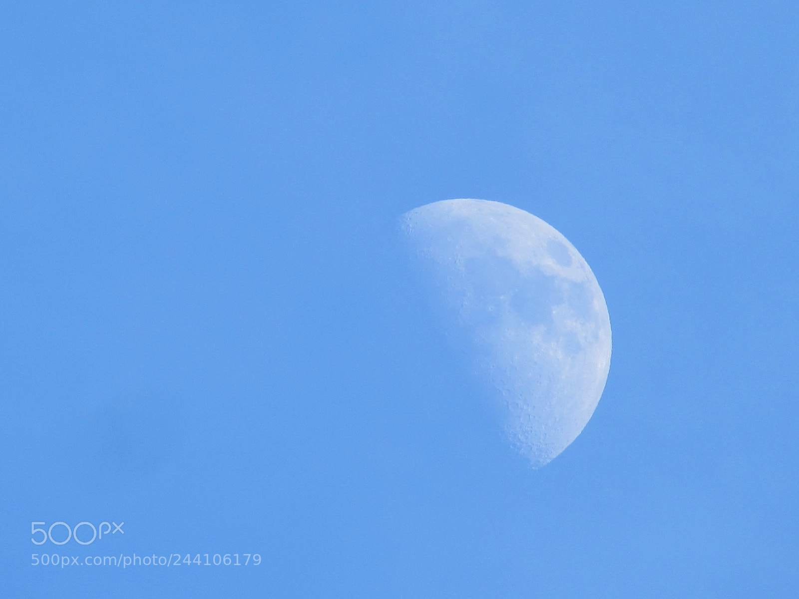 Canon PowerShot SX510 HS sample photo. Blue moon photography