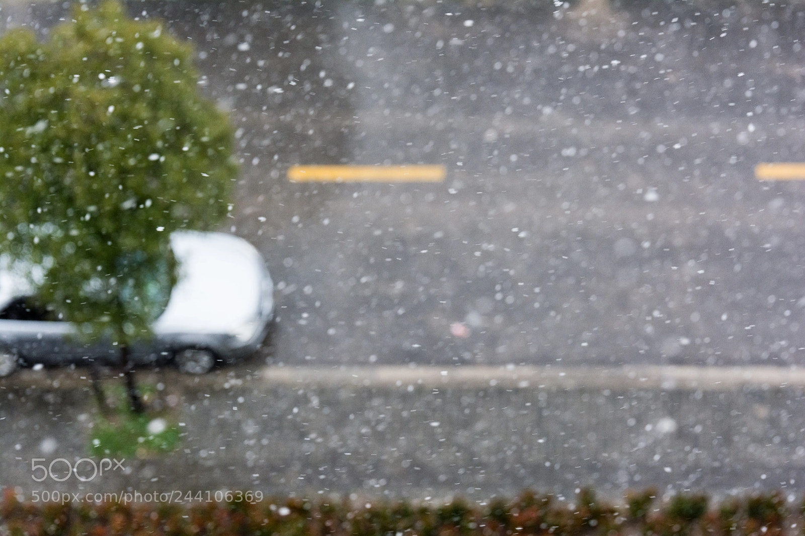 Nikon D7100 sample photo. Untitled photography