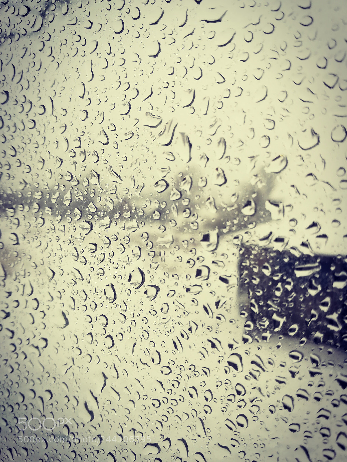 HUAWEI P10 lite sample photo. Untitled photography