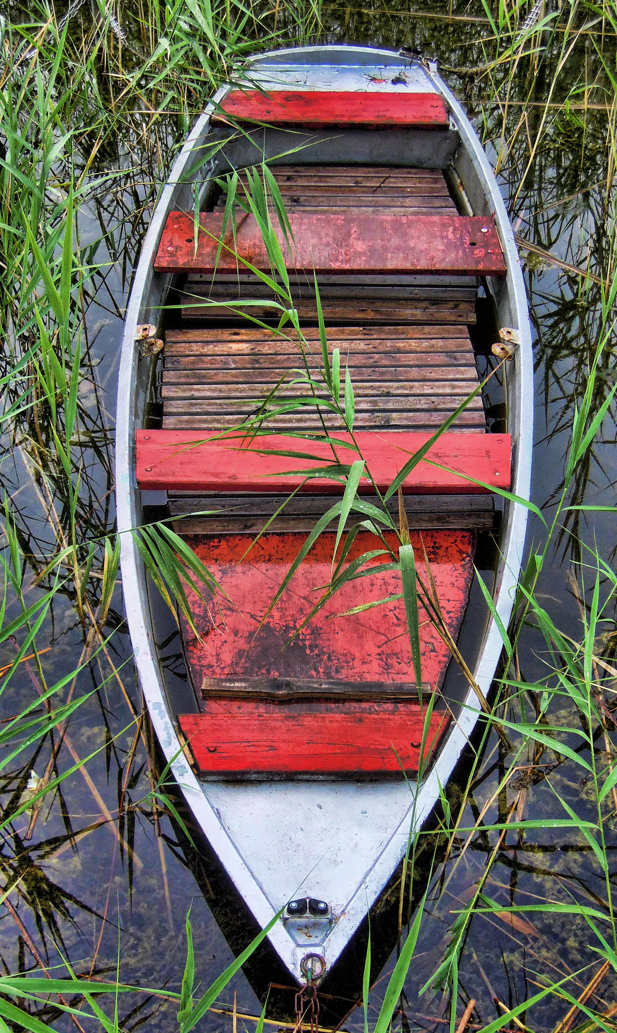 Nikon Coolpix P300 sample photo. Boat in red photography