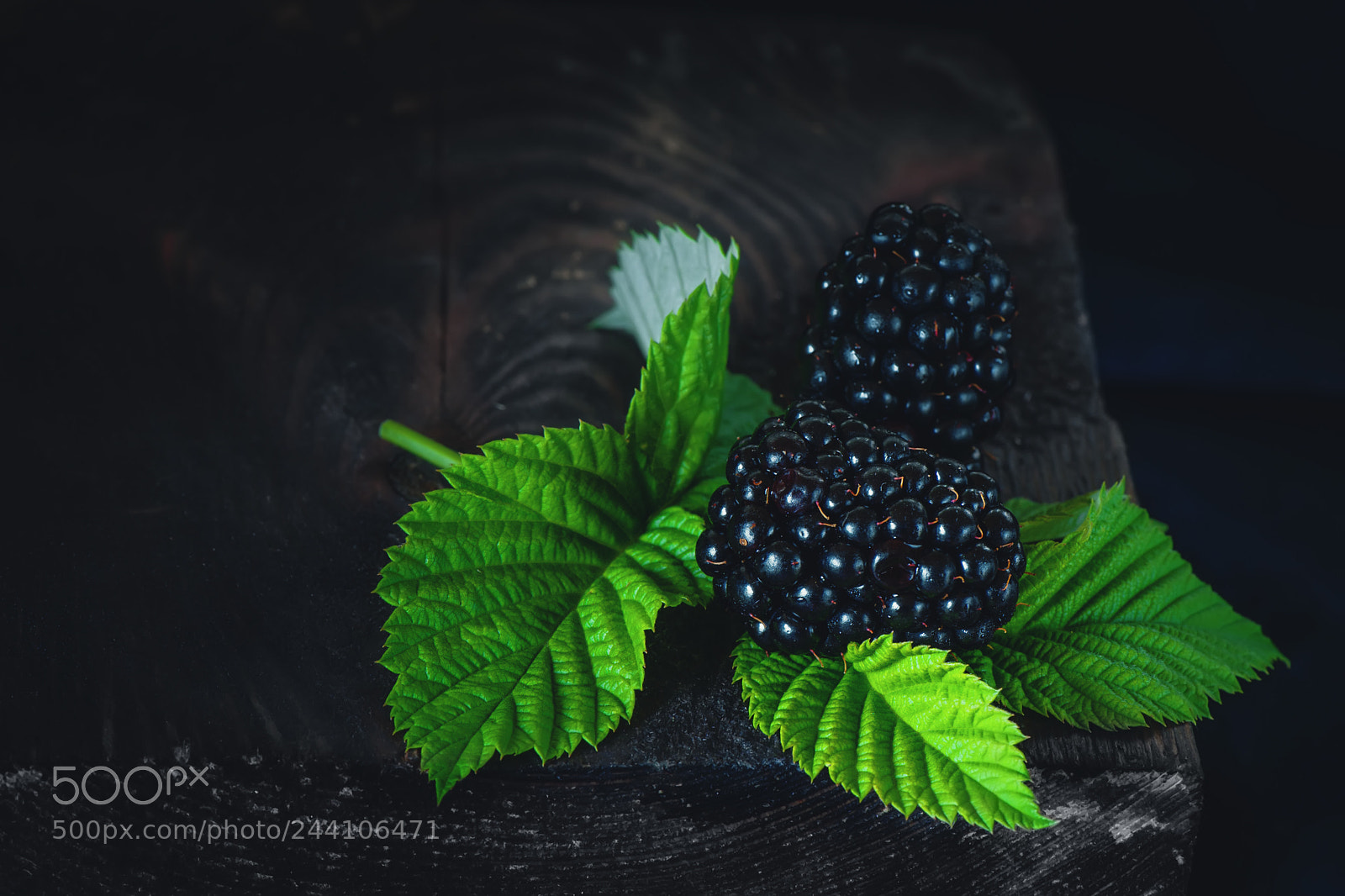 Nikon D700 sample photo. Ripe shiny blackberry lying photography