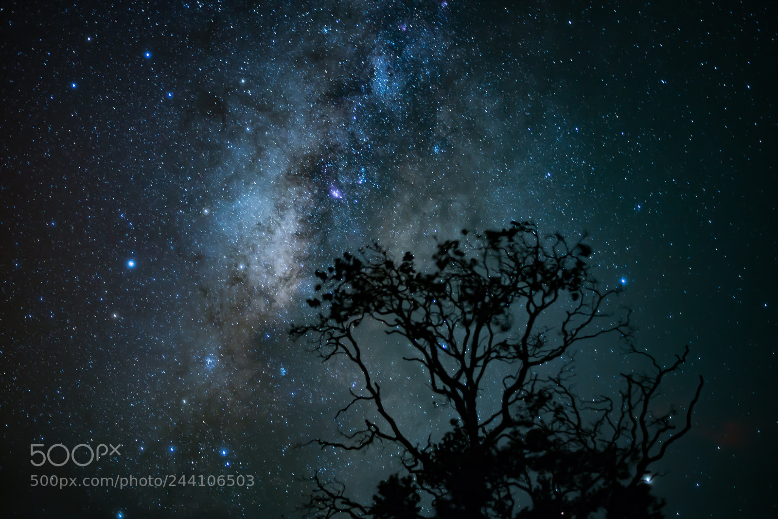 Nikon D610 sample photo. Milky way photography