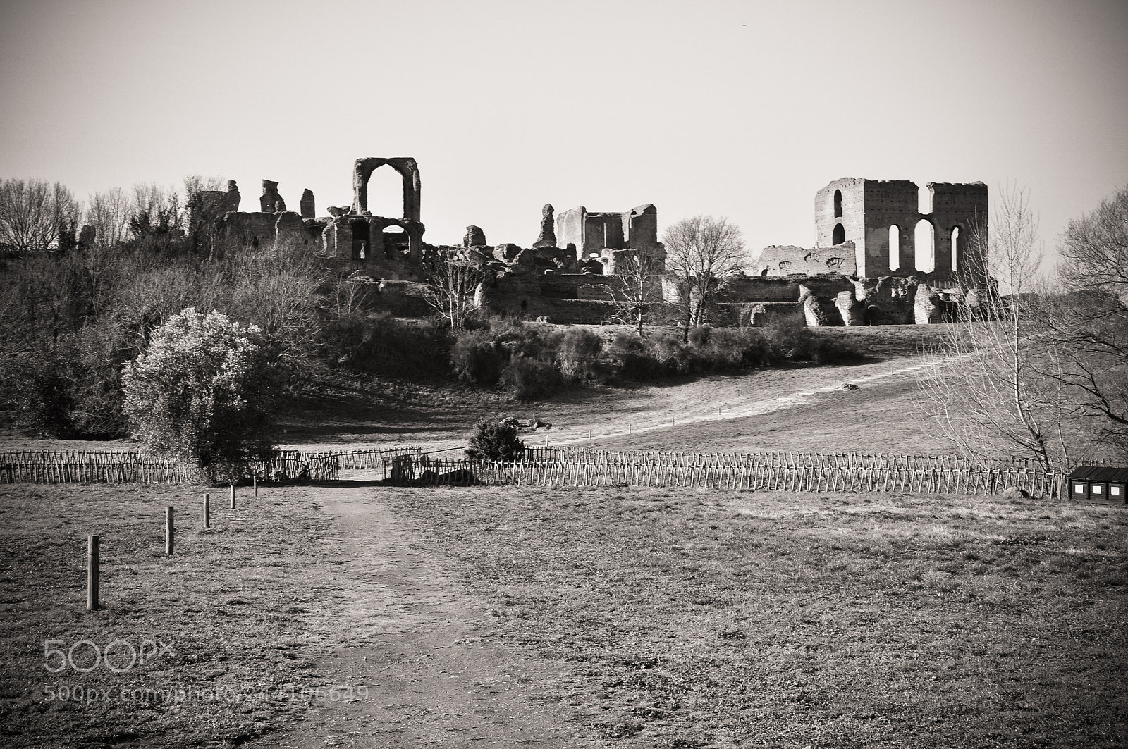 Nikon D90 sample photo. Villa dei quintili photography