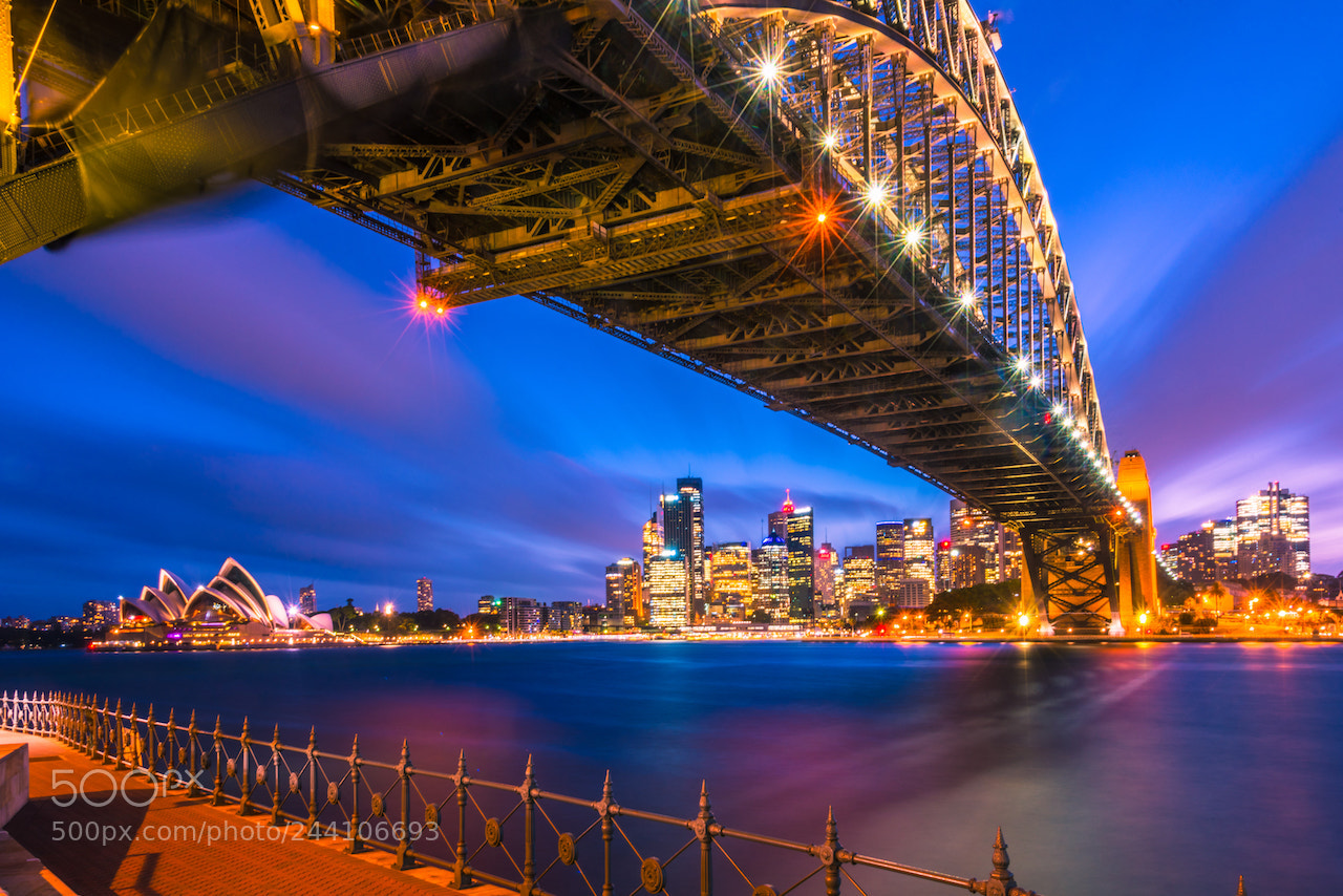 Nikon D810 sample photo. Sydney by night photography