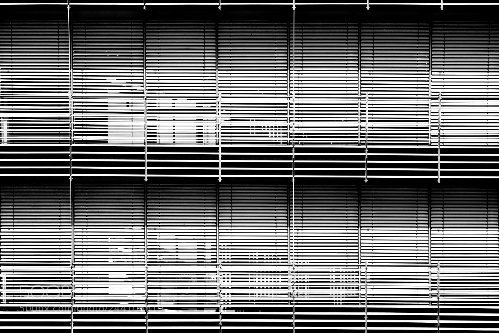 Sony a7 II sample photo. Sunscreen chemical building photography