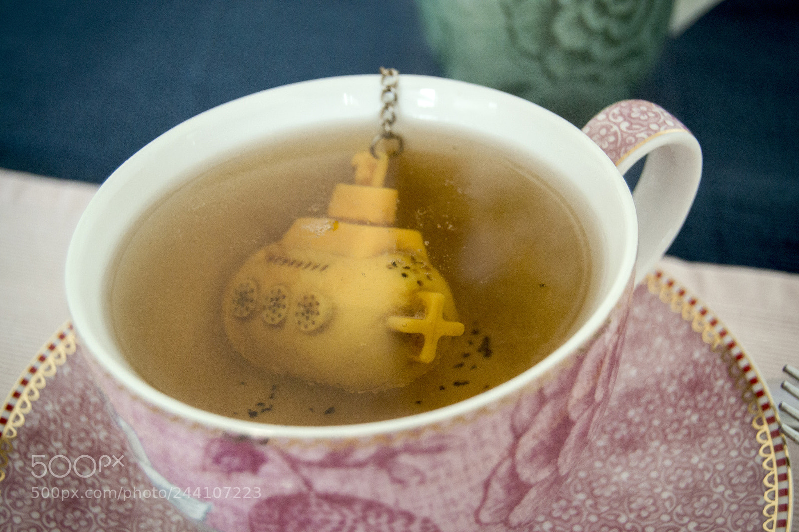 Nikon D3100 sample photo. Subtea photography