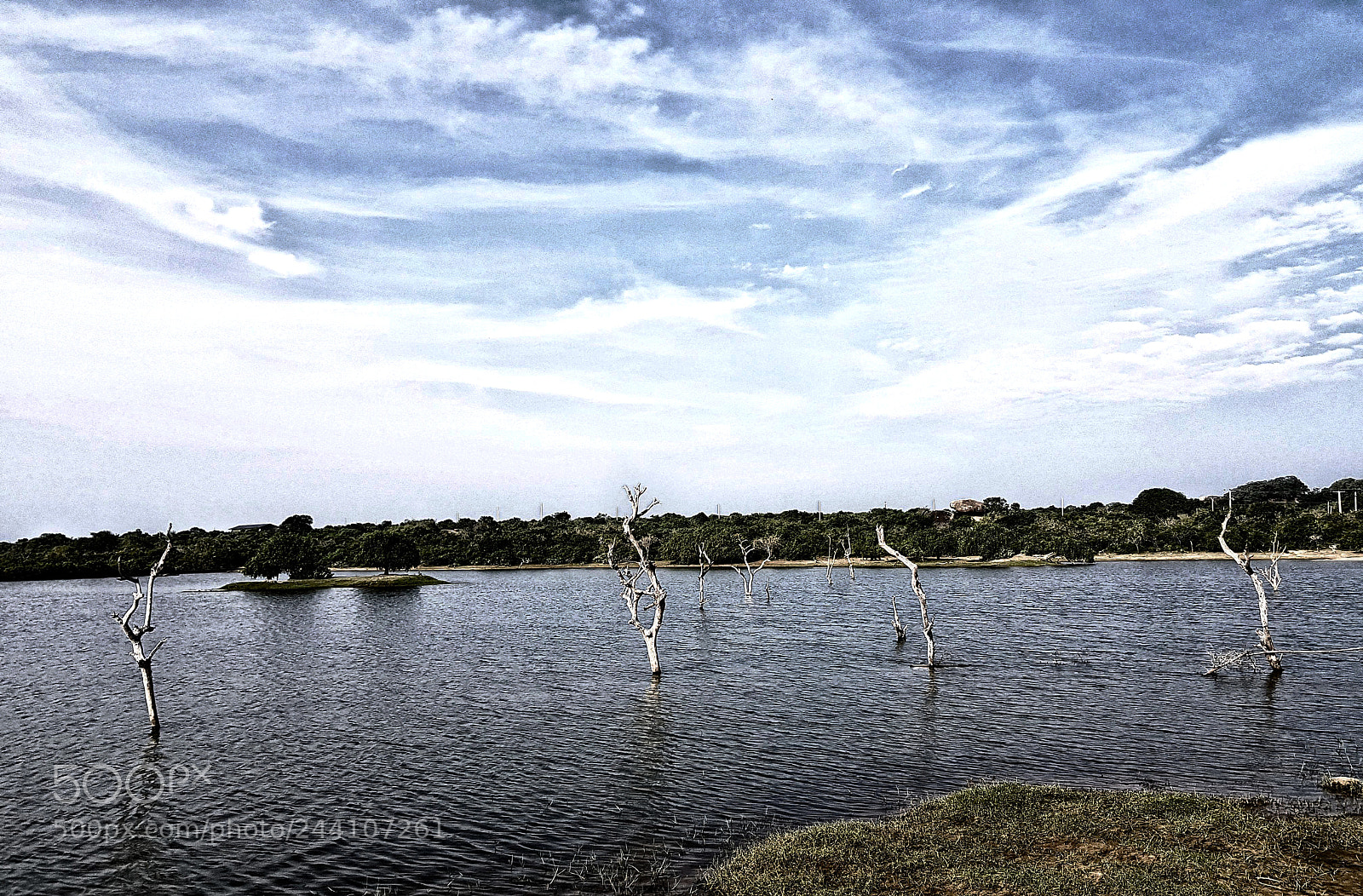 Samsung Galaxy S8 sample photo. Yala photography