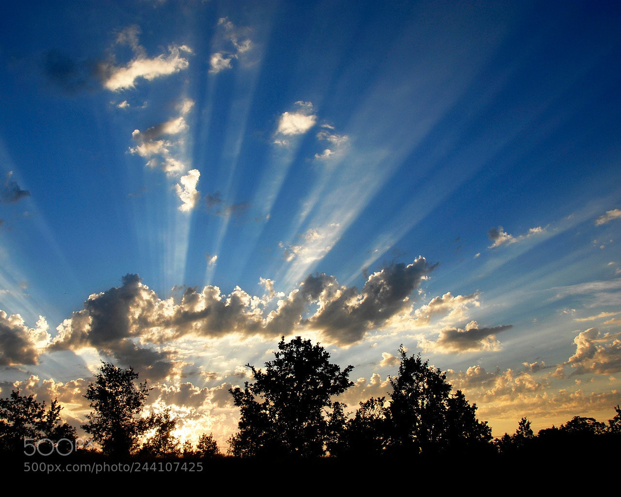 Nikon D200 sample photo. Untitled photography