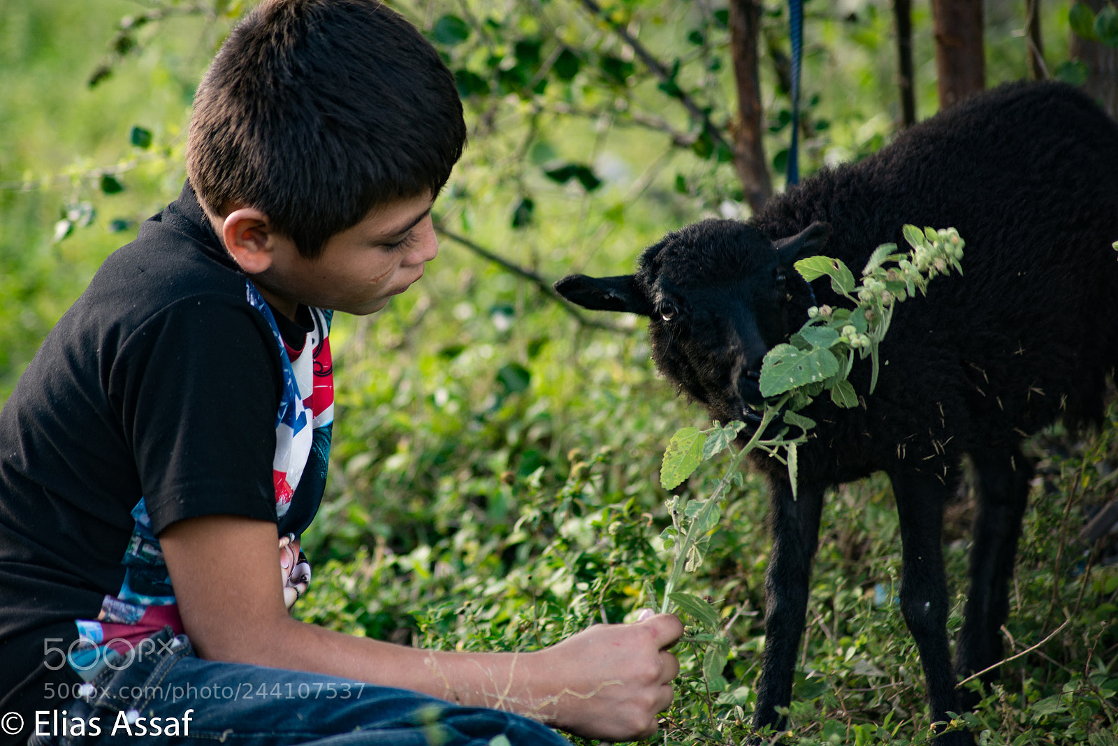 Nikon D610 sample photo. Oveja negra photography
