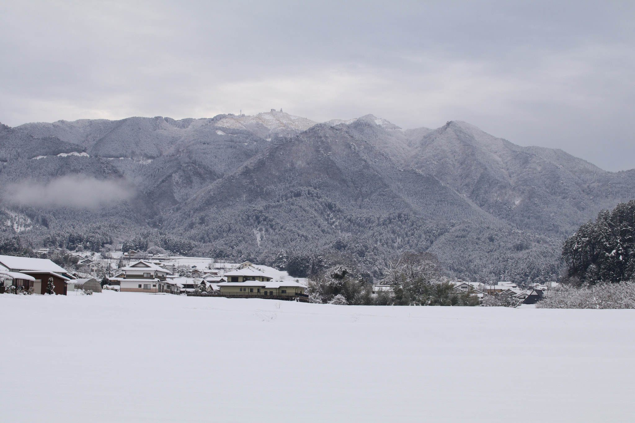 Canon EOS 80D + Sigma 30mm F1.4 EX DC HSM sample photo. Frozen earth photography