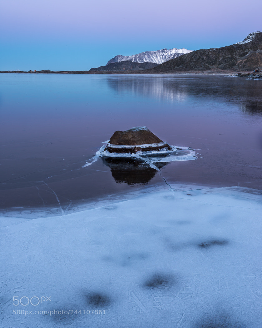 Nikon D800 sample photo. Lofoten seascape photography