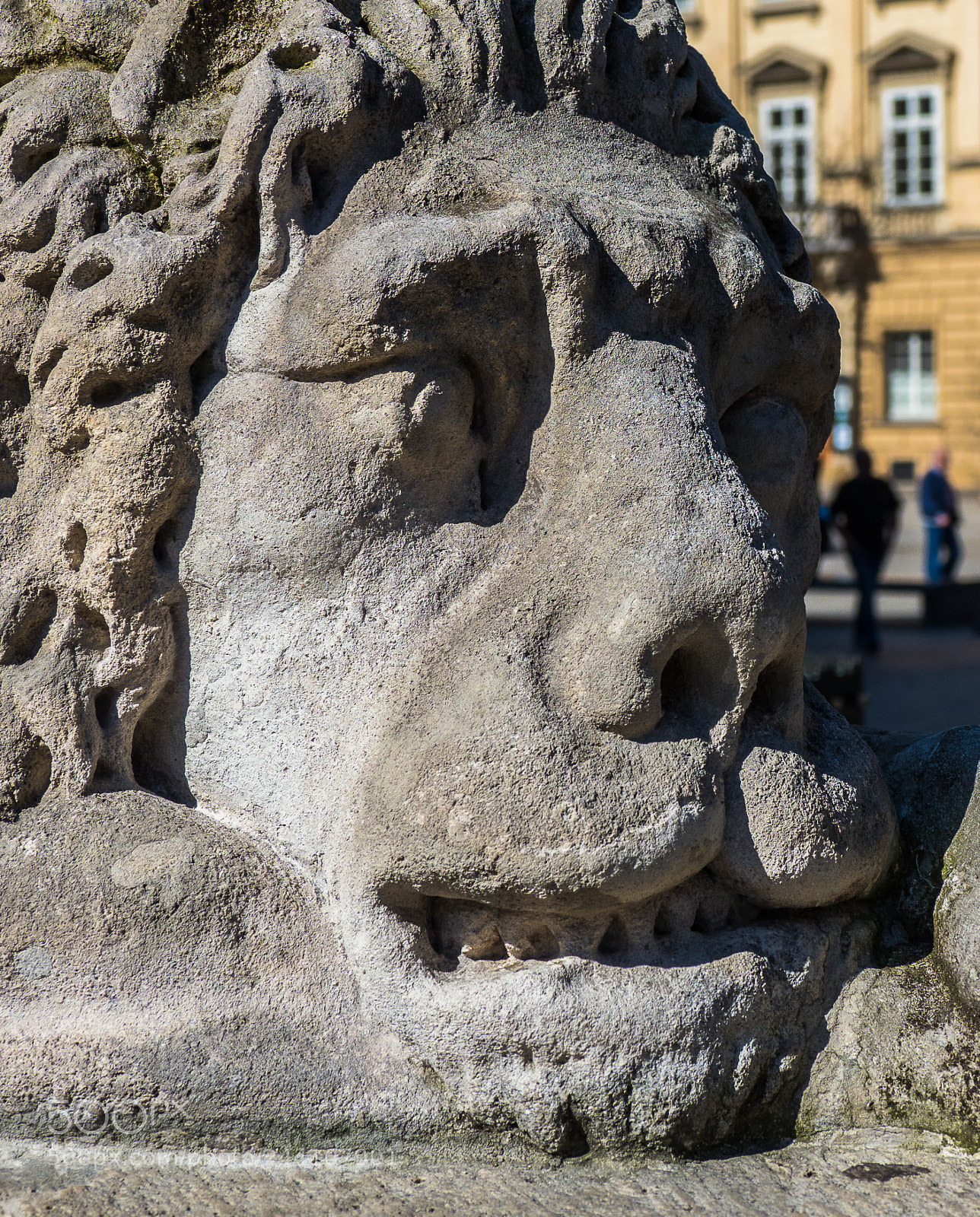 Olympus OM-D E-M1 Mark II sample photo. Olympus digital camera photography